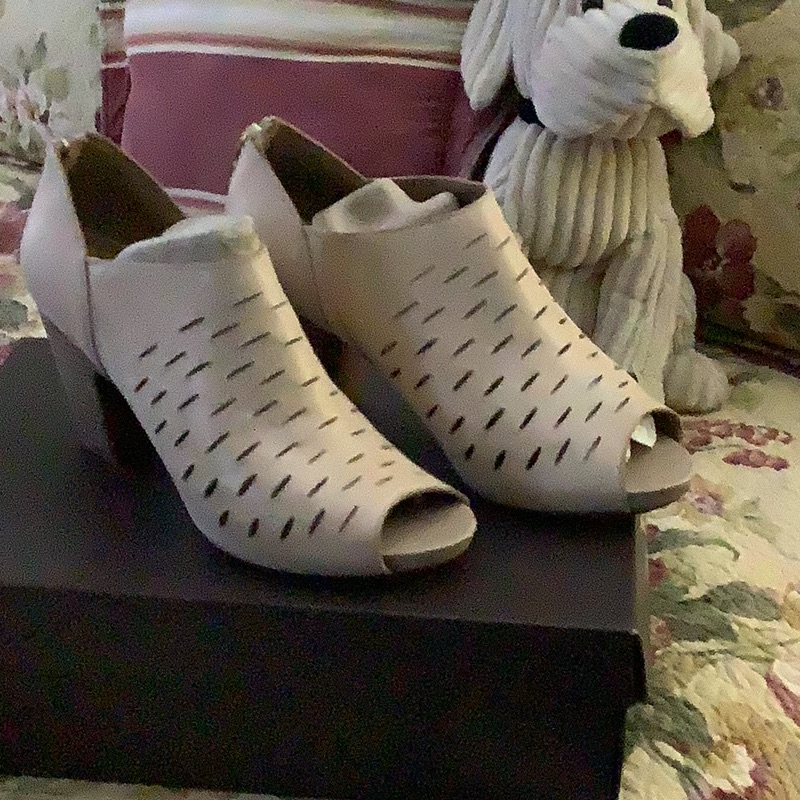 Clarks Boot